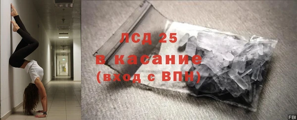 PSILOCYBIN Верея