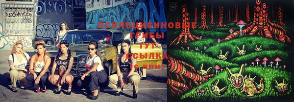 PSILOCYBIN Верея