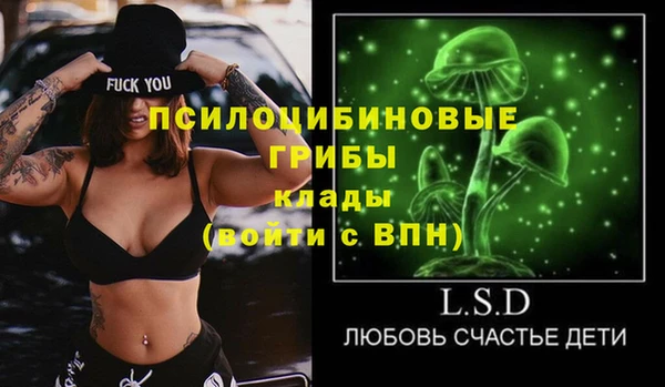 PSILOCYBIN Верея