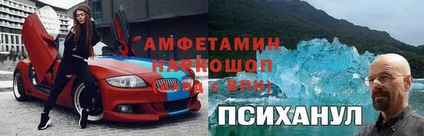 хмурый Бородино