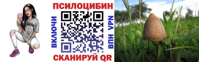 Псилоцибиновые грибы Magic Shrooms  Льгов 