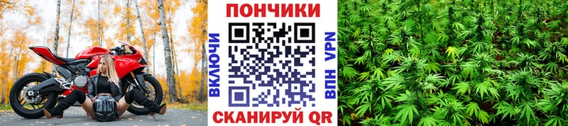 blacksprut ссылка  Льгов  Марихуана планчик 